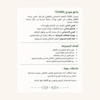 Bsho Hasis CASEL framework information sheet